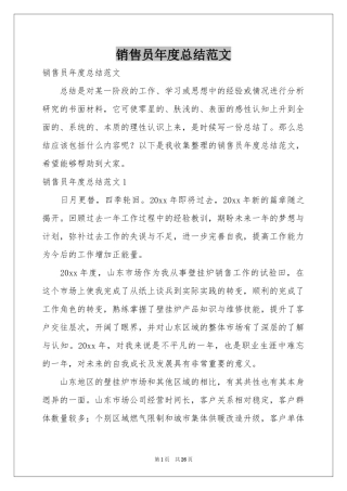 销售员年度参考总结范本