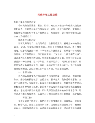 托班半年工作总结2 