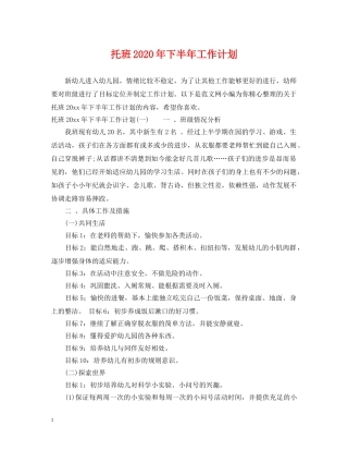 托班2024年下半年工作计划 