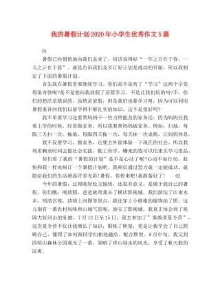 我的暑假计划2024年小学生优秀作文5篇 