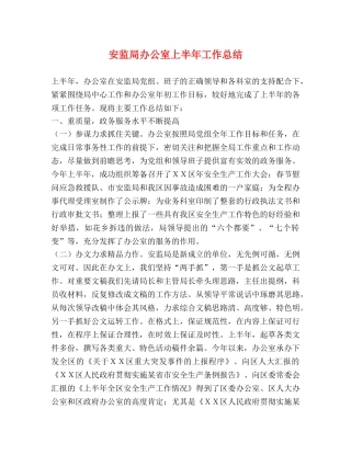 安监局办公室上半年工作总结 