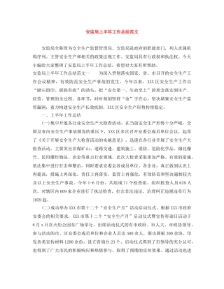 安监局上半年工作总结范文 