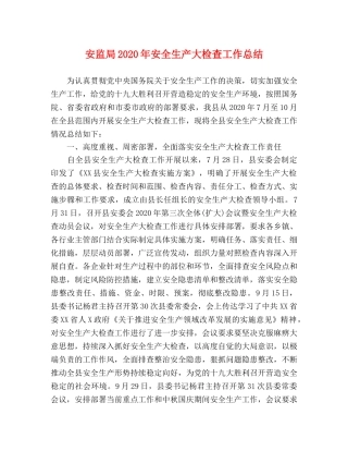 安监局2024年安全生产大检查工作总结 