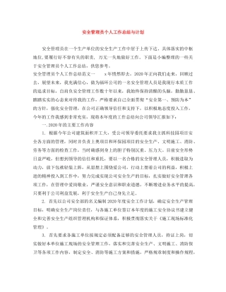 安全管理员个人工作总结与计划 