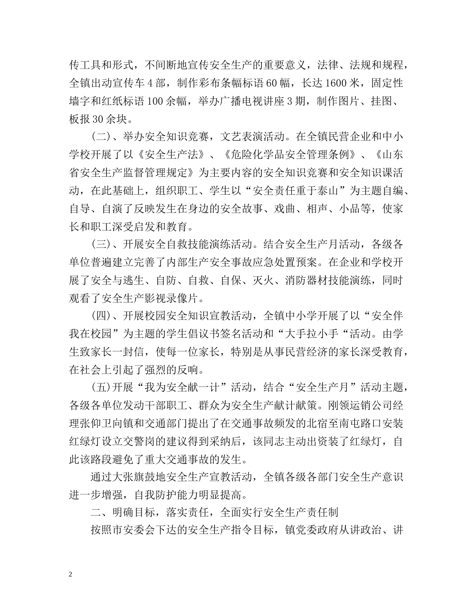 安全生产大检查工作总结 _第2页