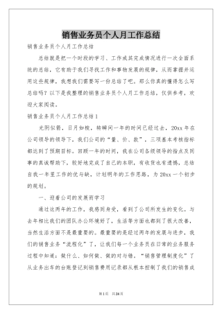 销售业务员个人月工作参考总结