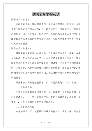 销售专员工作参考总结