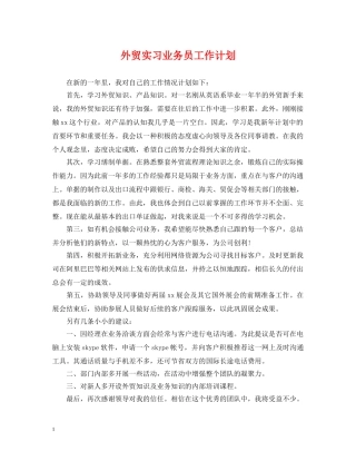 外贸实习业务员工作计划 