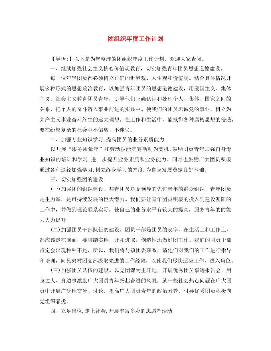 团组织年度工作计划 _第1页