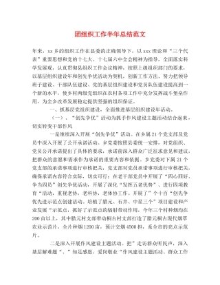 团组织工作半年总结范文 