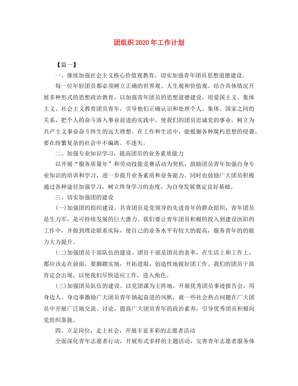 团组织2024年工作计划 _第1页