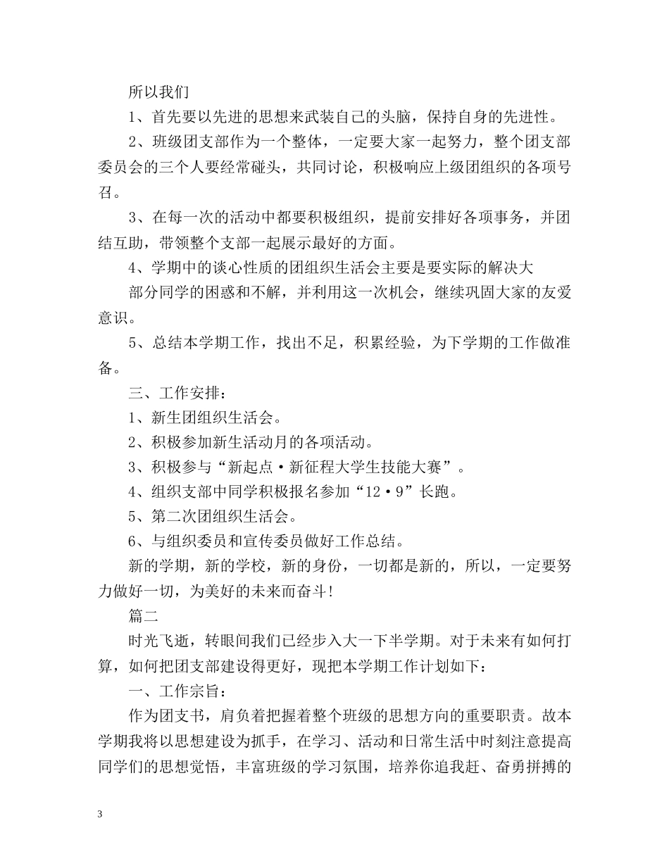 团支部工作计划及目标 _第3页