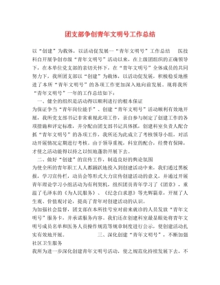 团支部争创青年文明号工作总结 