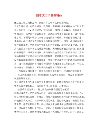 团总支工作总结精品 