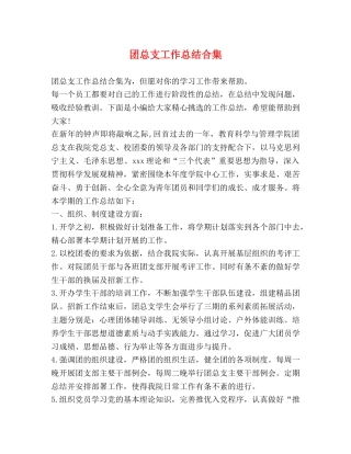 团总支工作总结合集 