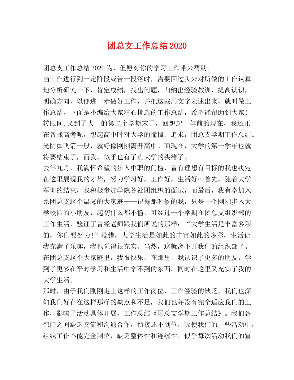 团总支工作总结2024 _第1页