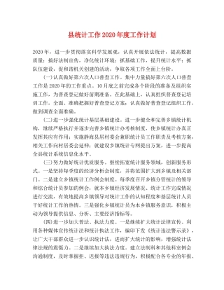 县统计工作2024年度工作计划 