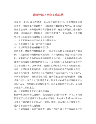 县统计局上半年工作总结 