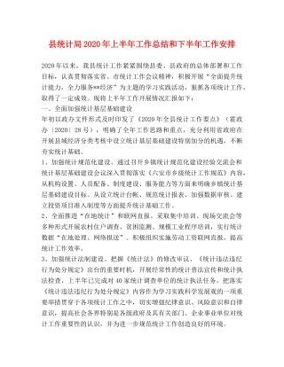 县统计局2024年上半年工作总结和下半年工作安排 