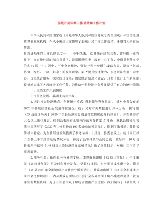 县统计局年终工作总结和工作计划 