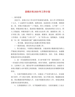县统计局2024年工作计划 