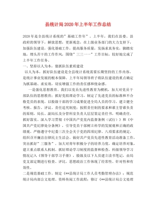 县统计局2024年上半年工作总结 