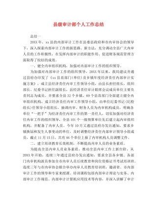 县级审计部个人工作总结 