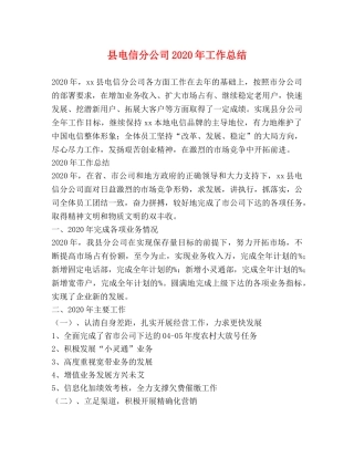 县电信分公司2024年工作总结 