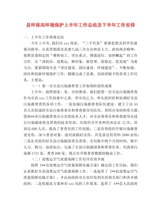 县环保局环境保护上半年工作总结及下半年工作安排 