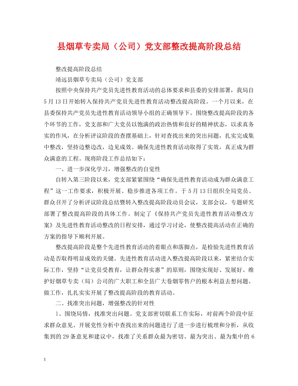 县烟草专卖局（公司）党支部整改提高阶段总结 _第1页