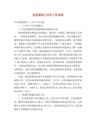 县民政局上半年工作总结 