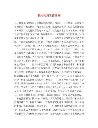 县文化局工作计划 