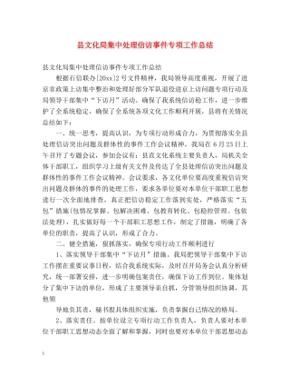 县文化局集中处理信访事件专项工作总结 
