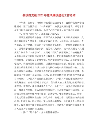 县政府党组2024年党风廉政建设工作总结 