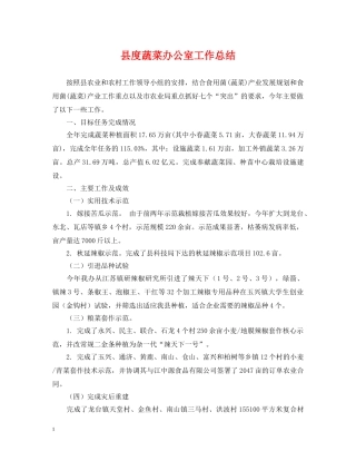 县度蔬菜办公室工作总结 