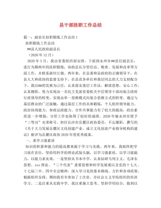 县干部挂职工作总结 