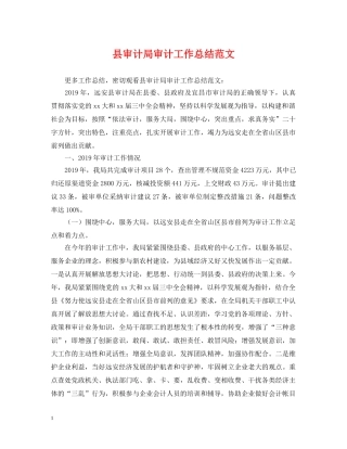 县审计局审计工作总结范文 