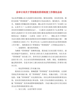 县审计局关于贯彻落实四项制度工作情况总结 