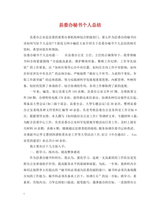 县委办秘书个人总结 