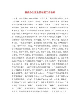 县委办公室主任年度工作总结 