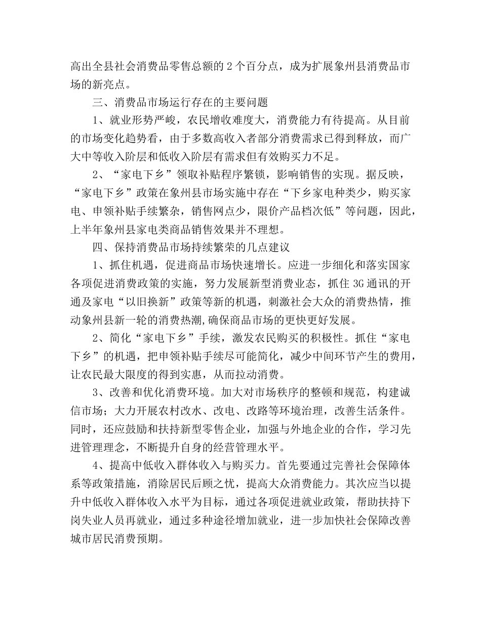 县城消费品市场运行总结 _第2页
