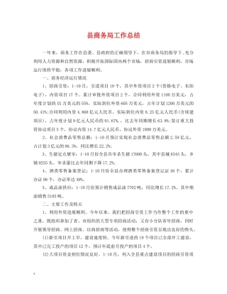 县商务局工作总结 