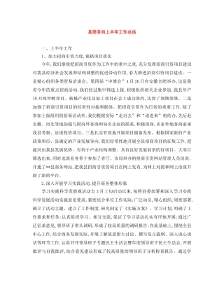县商务局上半年工作总结 