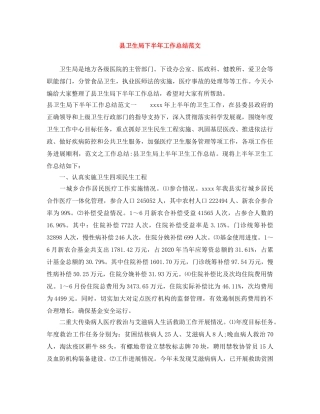县卫生局下半年工作总结范文 