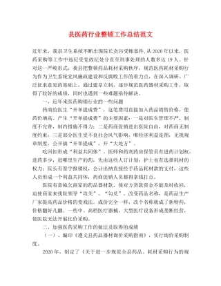 县医药行业整顿工作总结范文 