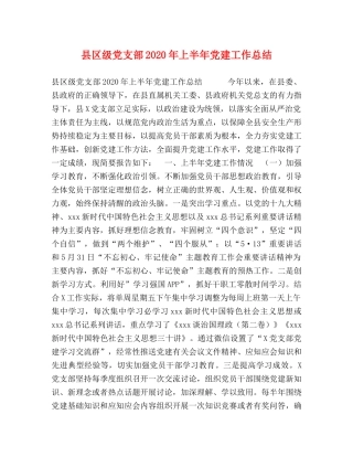 县区级党支部2024年上半年党建工作总结 
