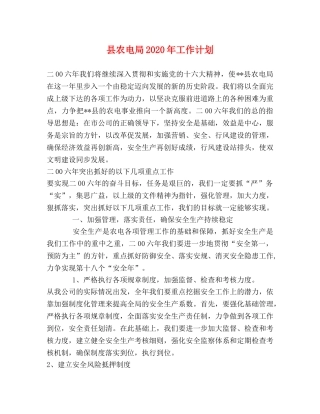 县农电局2024年工作计划 