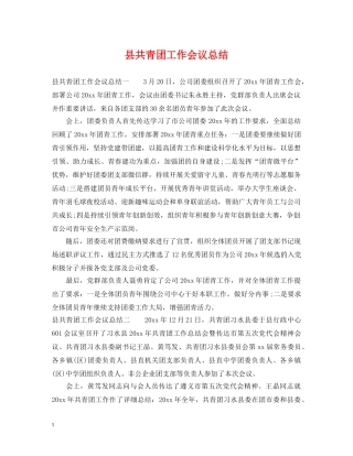 县共青团工作会议总结 
