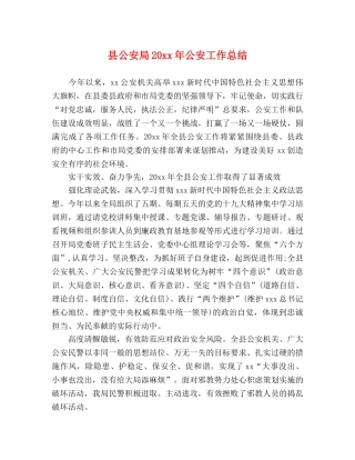 县公安局20xx年公安工作总结 