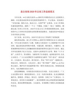 县公安局2024年公安工作总结范文 